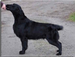 SE U(U)CH Caci's Hey-Good-Lookin